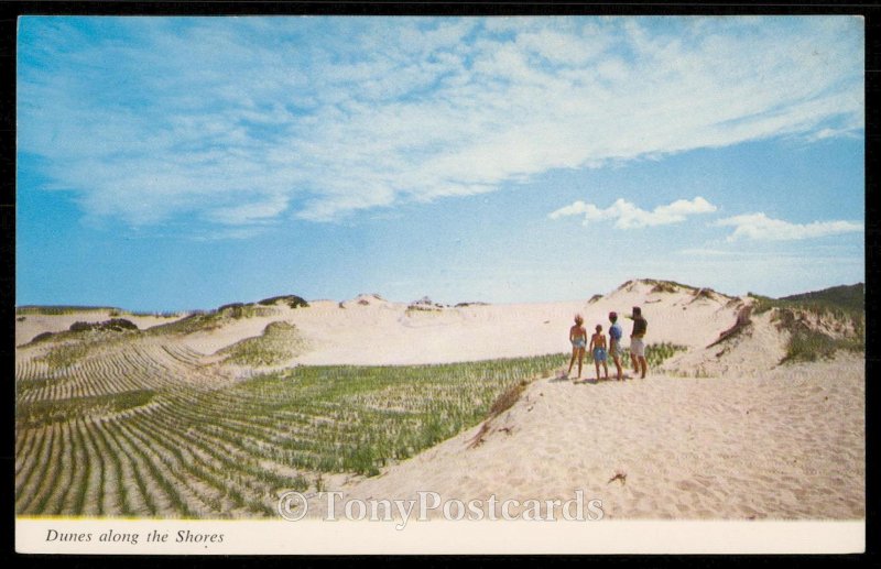 Dunes along the Shores