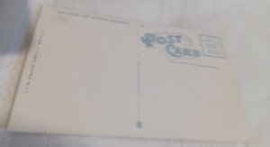 Excursion Steamer Landing Passengers Quincy Illinois Postcard, C. E. W.