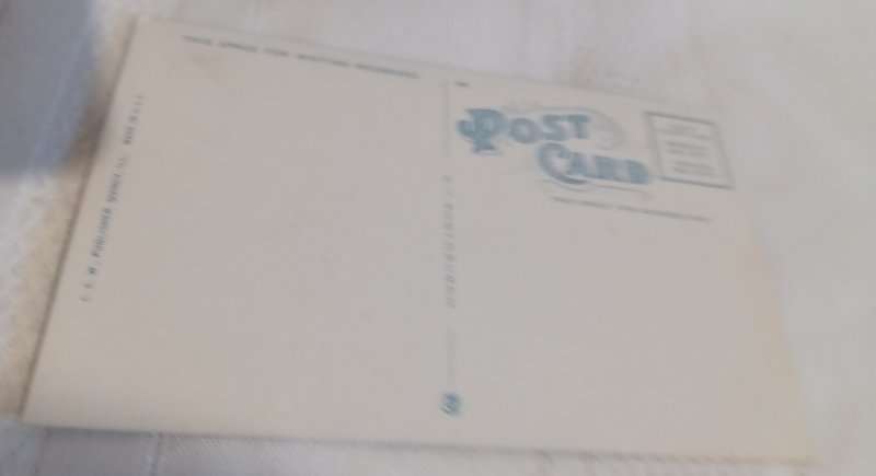 Excursion Steamer Landing Passengers Quincy Illinois Postcard, C. E. W.