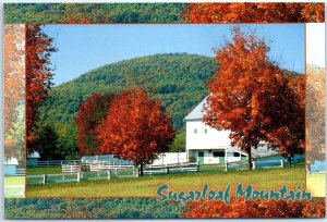 Postcard - Sugarloaf Mountain - Frederick, Maryland