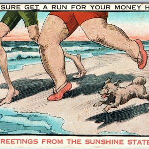 c1910s FL Florida Greetings from Sunshine State Cute Dog Fat Woman Man Run A277