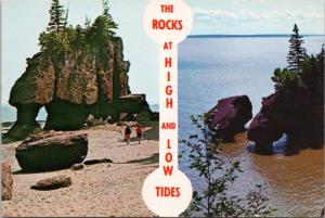 The Rocks Hopewell Cape NB New Brunswick High & Low Tide Unused Postcard D43