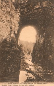 Vintage Postcard 1910's Down Stream View Natural Bridge Virginia Moore & Gibson