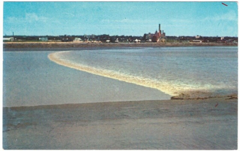 Tidal Bore, Petitcodiac River, Moncton, New Brunswick, Vintage Chrome Postcard#2