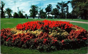 Hazelwood Park Flower Bed New Bedfor Massachusetts Scenic Chrome Postcard 