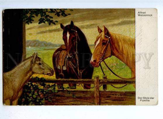 176970 HORSES Family FOAL by WECZERZICK Vintage color PC
