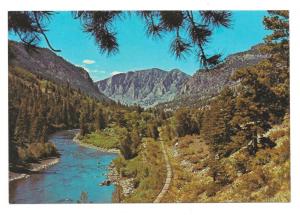 CO Rio Grande River Between South Fork & Creede 2 Postcards