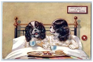 Louisville KY Postcard Anthropomorphic Charles Spaniel Dog Oilette Tuck's c1910s