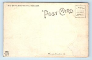 LaPORTE, Indiana IN ~ Bluffside Beach & THE PAVILION c1910s  Postcard