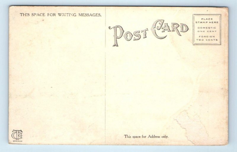 LaPORTE, Indiana IN ~ Bluffside Beach & THE PAVILION c1910s  Postcard