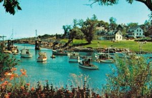 USA Sheltered Harbor Maine Coast Vintage Postcard 07.72