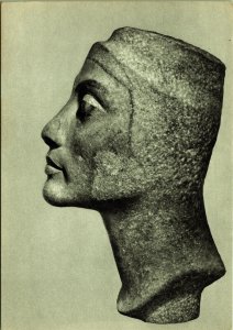 Left Profile of an Unfinished Head of Queen Nefertiti Egyptian Postcard 