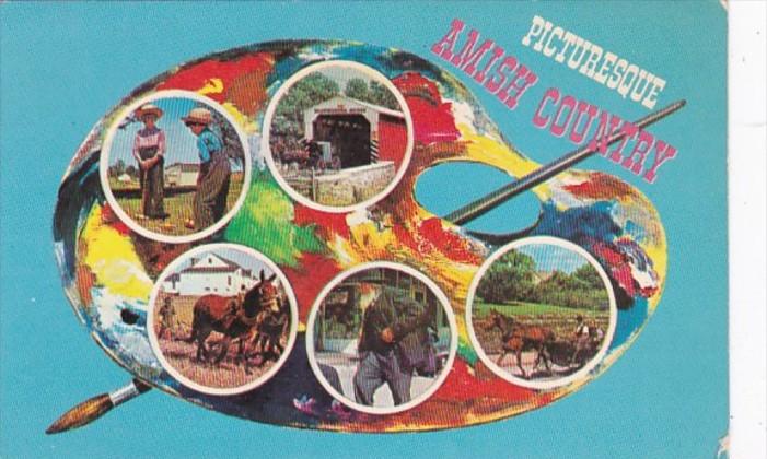 Pennsylvania Greetings From The Amish Country 1967