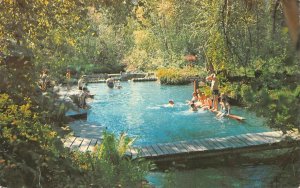 BC, Canada  LIARD HOT SPRINGS Swimming Pool & Guests ROADSIDE Vintage Postcard