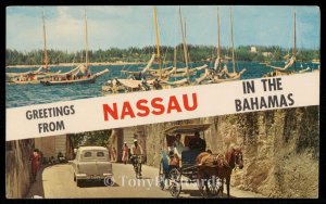 Greetings from Nassau in the Bahamas
