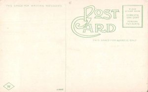 Memphis Tennessee The Levee from the Bluff Vintage Postcard AA56709