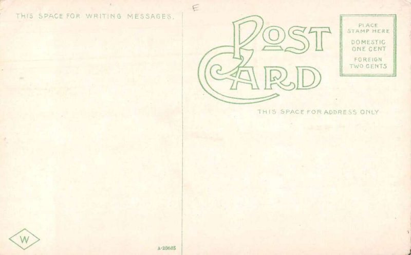 Memphis Tennessee The Levee from the Bluff Vintage Postcard AA56709