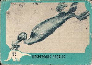 DINOSAUR, Nu-Card #55, Hesperonis Regalis 1961