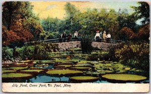 1910's Lily Pond Como Park St. Paul Minnesota MN Landscapes Posted Postcard