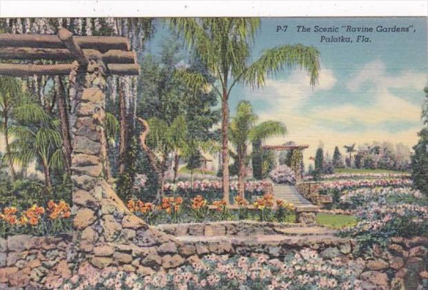 Florida Palatka Scenic Ravine Gardens Curteich
