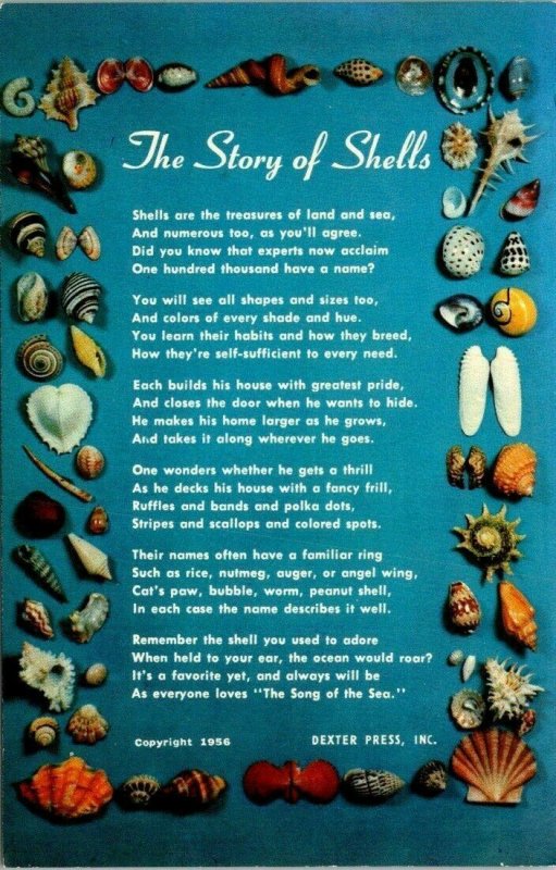 Postcard The Story of Sea Shells Poem Copyright 1956 Florida Unposted 1552