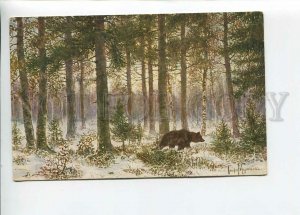 3183697 RUSSIA MURAVIEV lonely in forest hunt BEAR Lenz #233