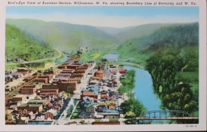 Bird's Eye View of Williamson West Virginia