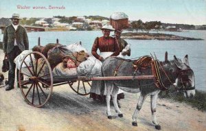 Washer Women Donkey Cart Bermuda 1910s postcard