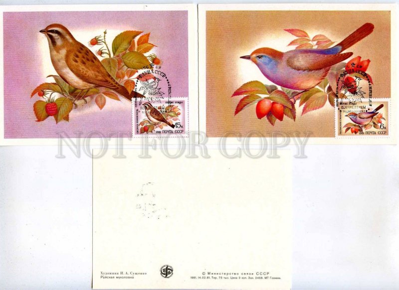 284690 USSR 1981 year Sushchenko singing birds SET of 5 Maximum cards