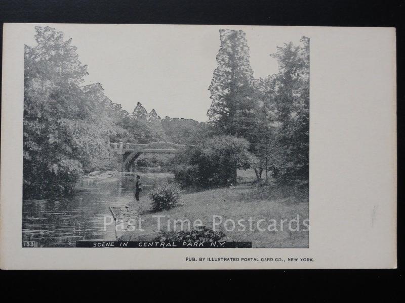 USA: NEW YORK CITY - Scene in Central Park c1905 UB