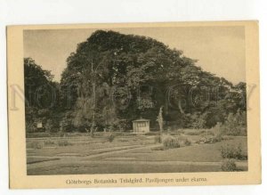 491667 Sweden Gothenburg Botanical Garden Vintage postcard
