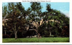 Louisiana New Orleans City Park Suicide Oak