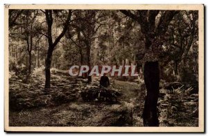 The Landes de Gascogne Old Postcard Return of the farm (profession)