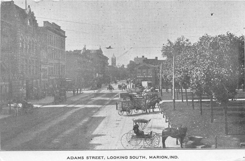 Indiana In Postcard c1910 MARION Adams Street Looking South Stores Wagons Horses