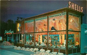 Dania Florida Priestley;s Night Neon Hannau Gift Shop Postcard 20-10843