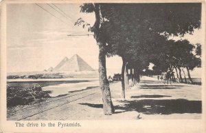 THE DRIVE TO THE PYRAMIDS EGYPT POSTCARD (c. 1905)