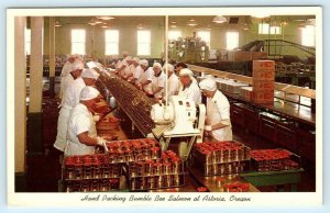 ASTORIA, Oregon OR ~ Workers Packing BUMBLE BEE SALMON Plant c1960s Postcard