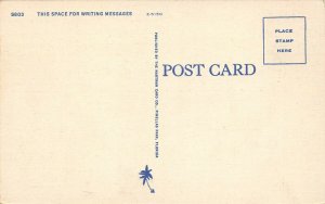 LP87  St. Petersburg  Florida Postcard Beautiful View 