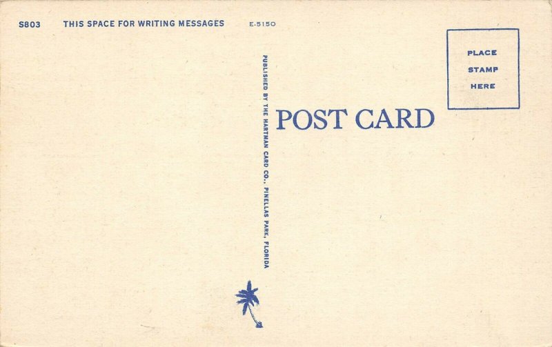 LP87  St. Petersburg  Florida Postcard Beautiful View 