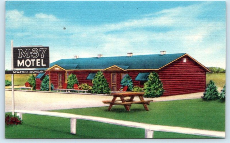 NEWAYGO, MI Michigan ~ Rustic  Roadside M-37 MOTEL c1950s Linen Postcard