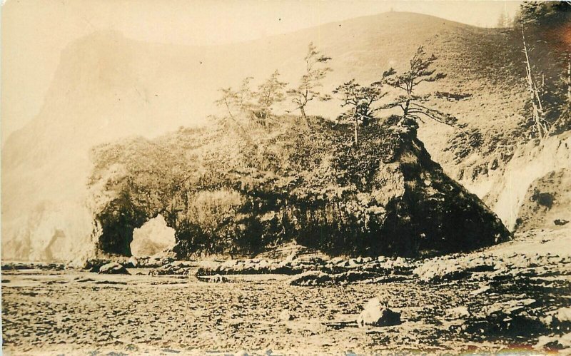 Postcard RPPC Photo Oregon Benton County 1920s Alsea Canyon 22-13249 