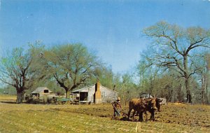 Spring Plowing Farming Unused 