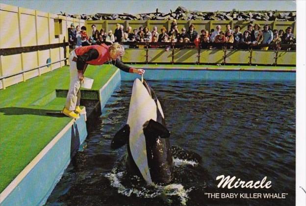 Canada Victoria Miracle The Baby Killer Whale Sealand Of The Pacific