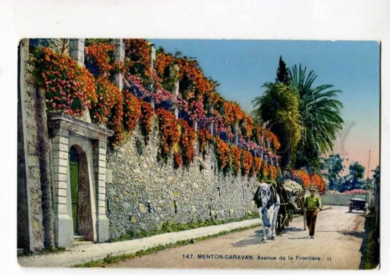 289243 FRANCE MENTON GARAVAN Avenue de la Frontiere carriage Vintage postcard