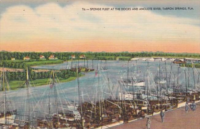 Florida Tarpon Springs Sponge Fleet At The Docks and Anclote River
