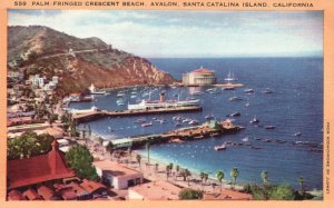 Vintage Postcard Palm Fringed Crescent Beach Avalon Santa Catalina Island Calif.