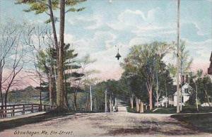 Maine Skowhegan Elm Street 1910