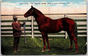 Kentucky, Man-O-War, 1949 Wonder Horse, Bred in Old Kentucky, Vintage Postcard