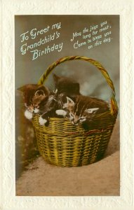 Hand-Colored RPPC Cat Postcard; Kittens in Basket for Grandchild's Birthday