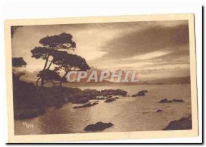  island Saint Honorat Vintage Postcard One to lay down sun seen of Lerins